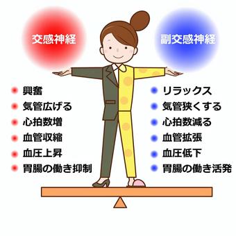 自律神経について　交感神経・副交感神経