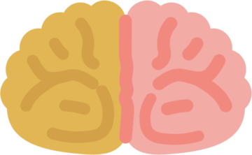 脳科学 右脳と左脳
