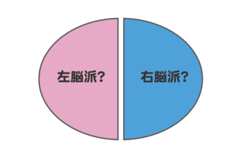 脳科学 右脳と左脳
